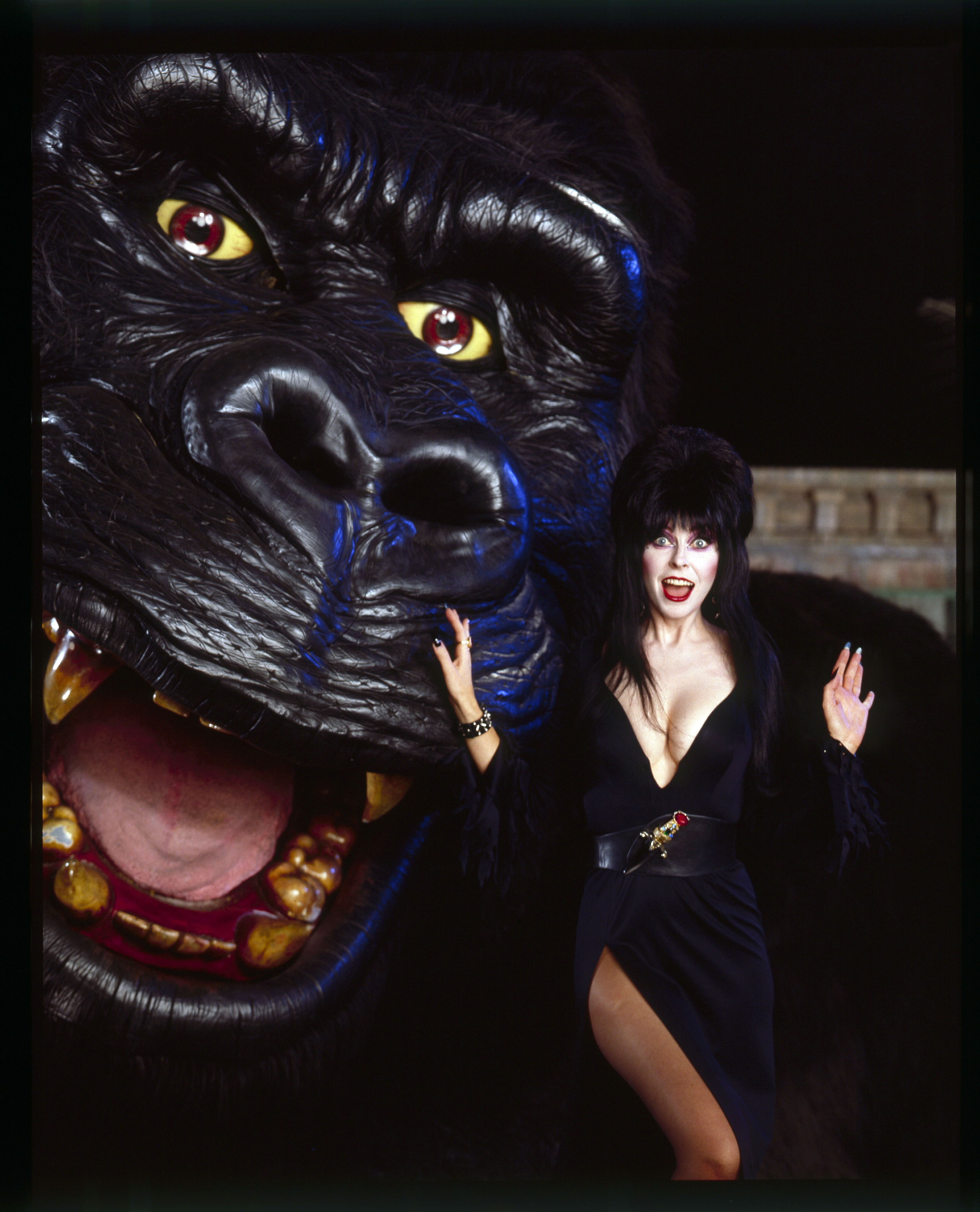 Photos: Cassandra 'Elvira' Peterson through the years