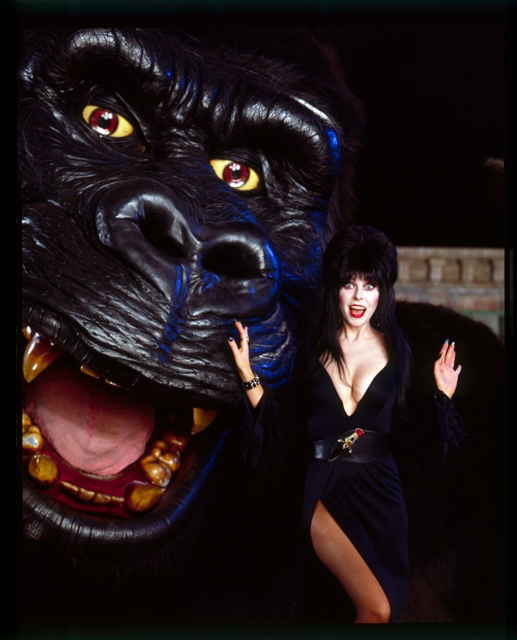 Photos: Cassandra 'Elvira' Peterson through the years