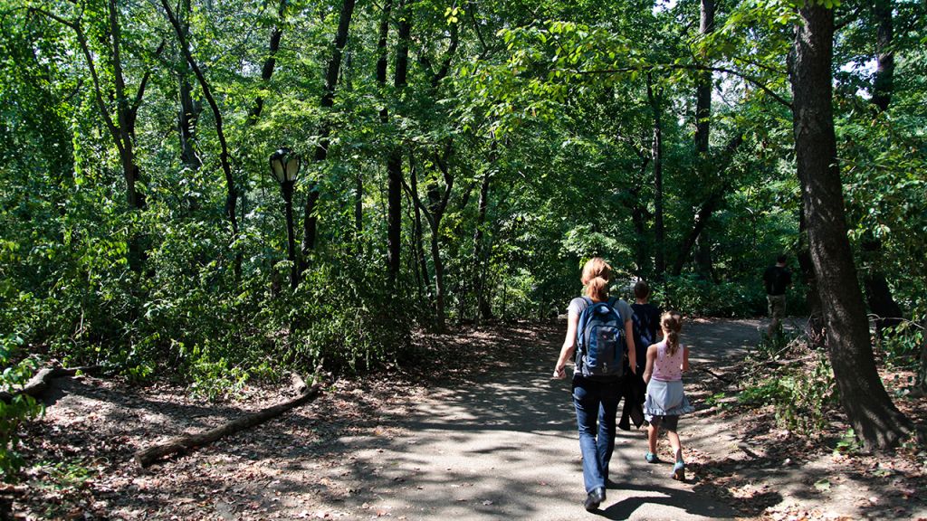 Woman charged after calling cops on Black birdwatcher