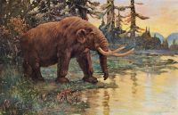 Mastodon tooth found in Michigan