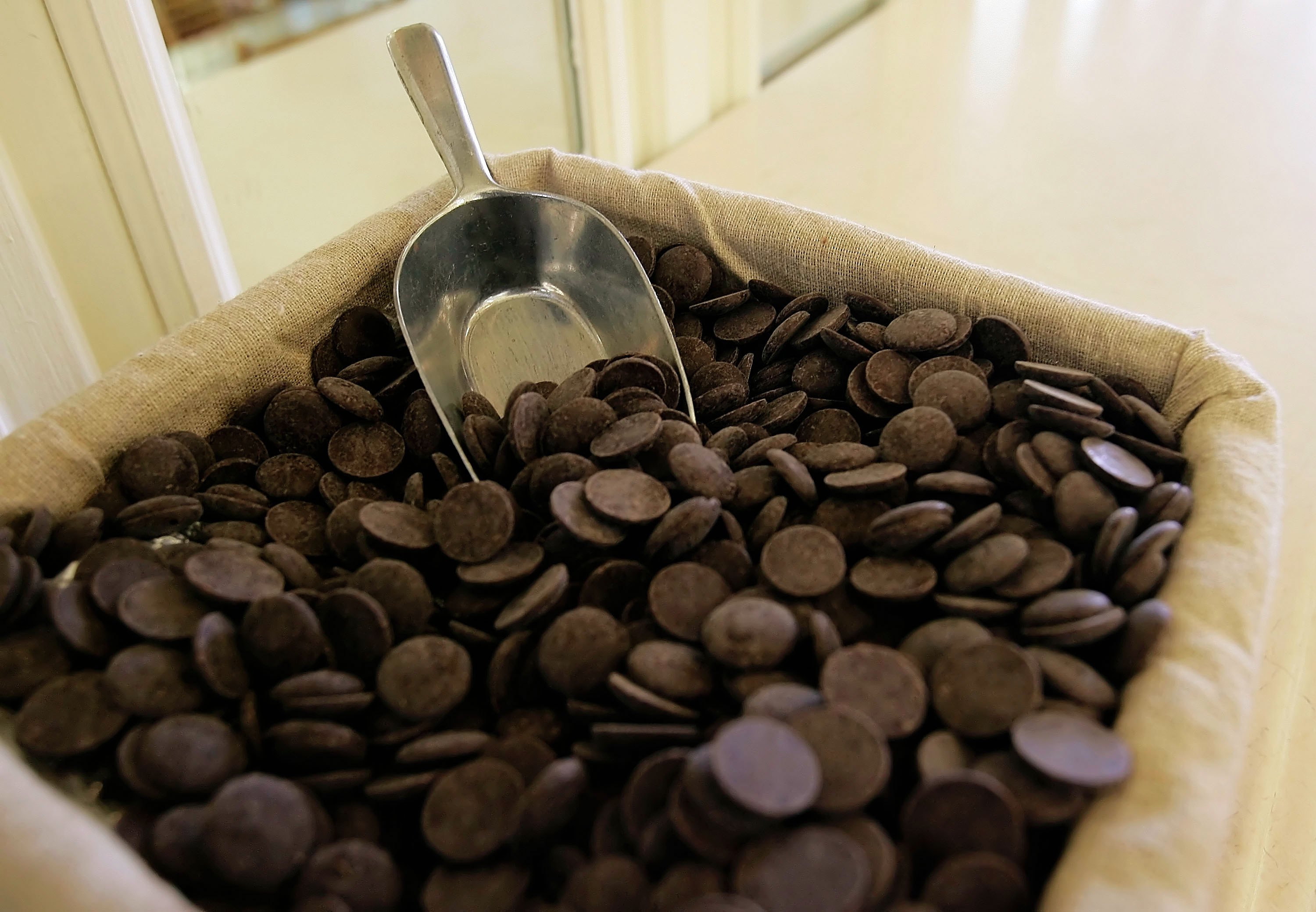 Study Links Cocoa To Lower Blood Pressure In Men
