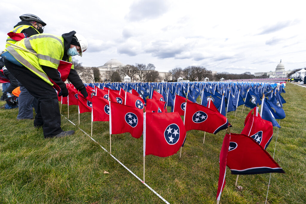'Field of Flags'