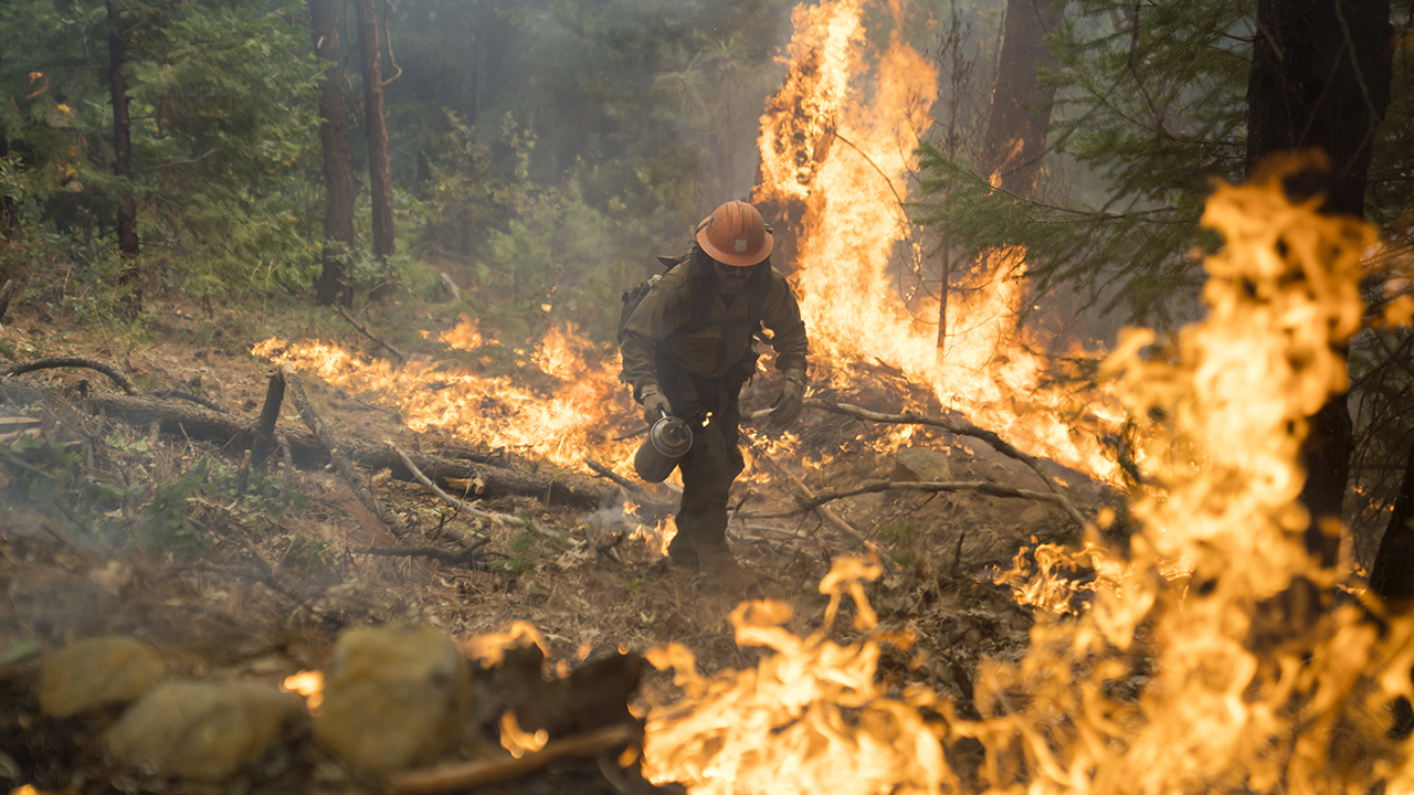 Photos: California's Mosquito Fire becomes state's largest blaze of 2022