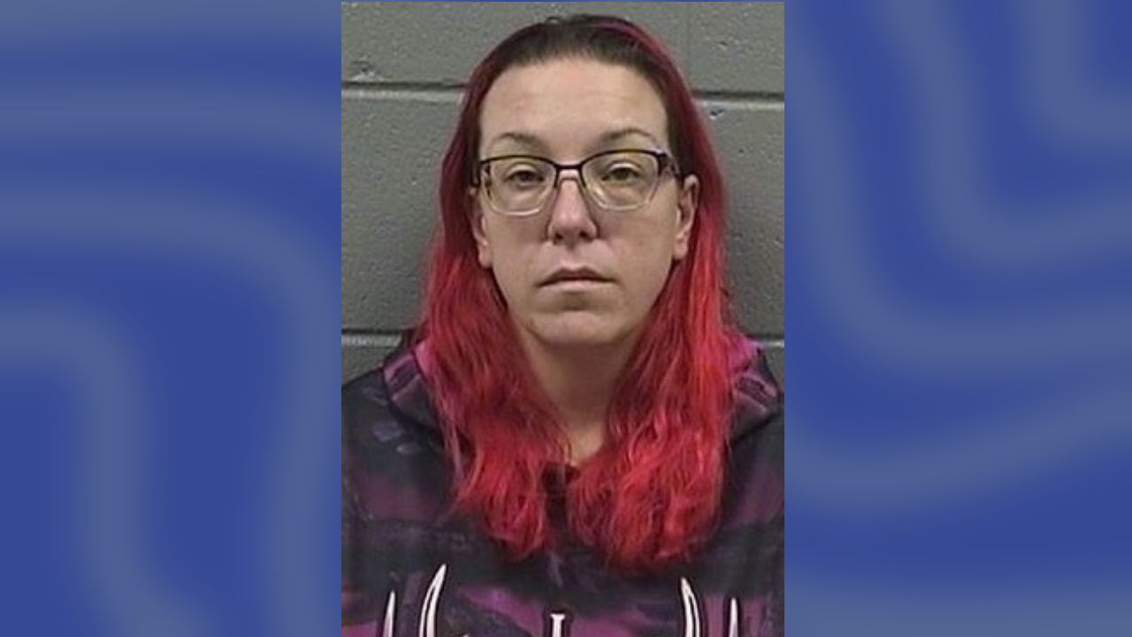 Michigan mother charged In 2003 murders of newborn twins