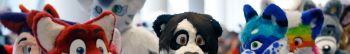 Coronavirus: Furries cancel annual convention in Pittsburgh due to COVID-19 concerns