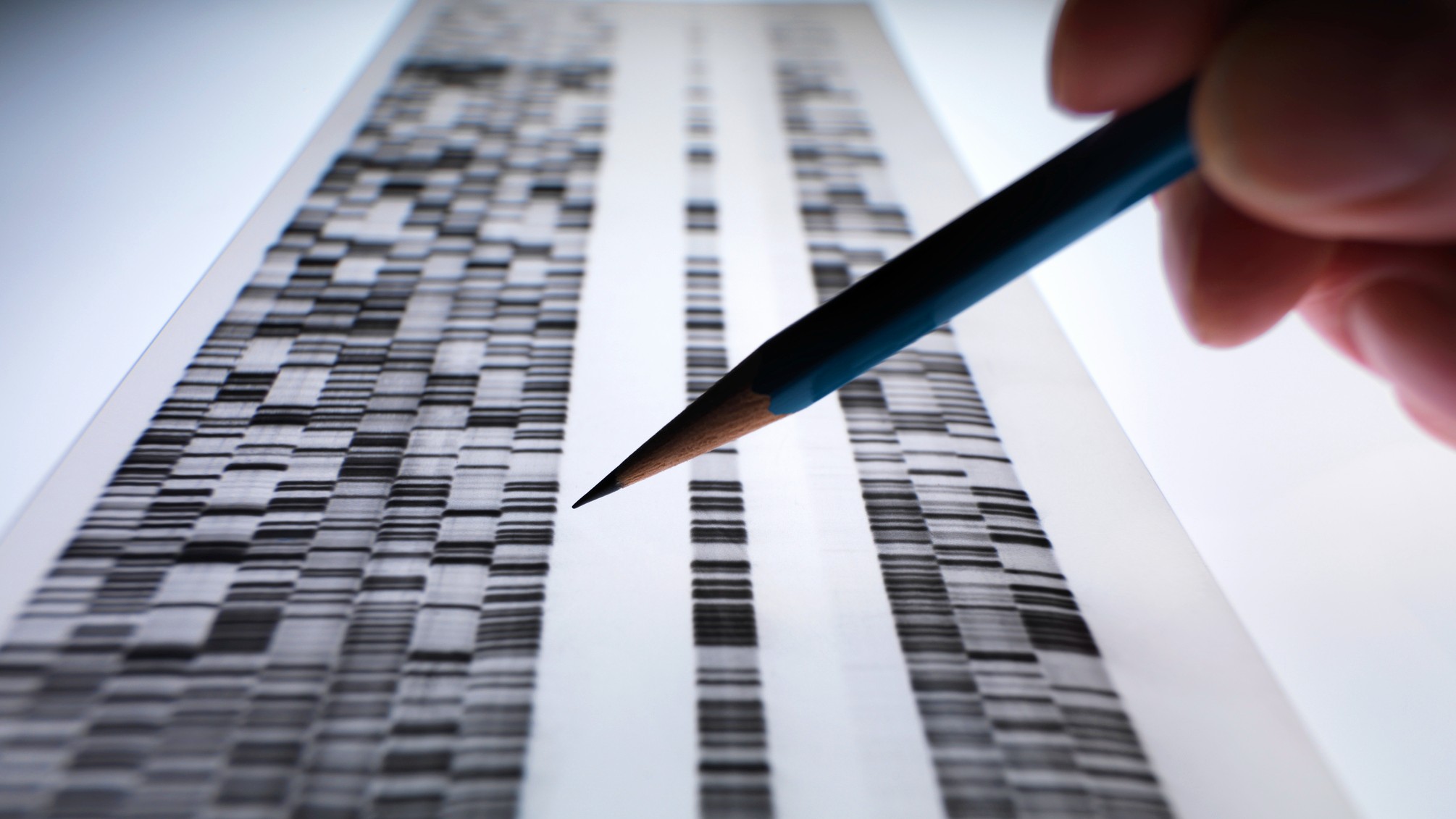 DNA cold case: