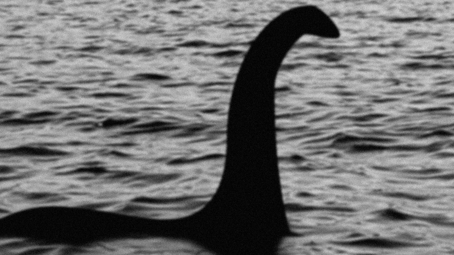 ‘Monster hunters':