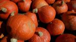 Baby Yoda pumpkin