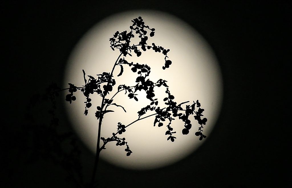 Photos: Beaver Moon 2020 shines in the night sky, coincides with penumbral lunar eclipse