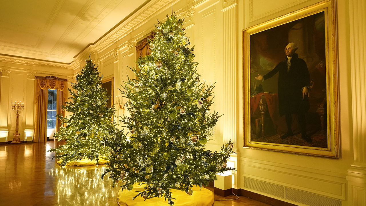 2020 White House Christmas decorations unveiled