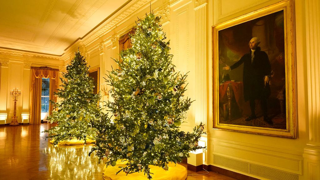 2020 White House Christmas decorations unveiled
