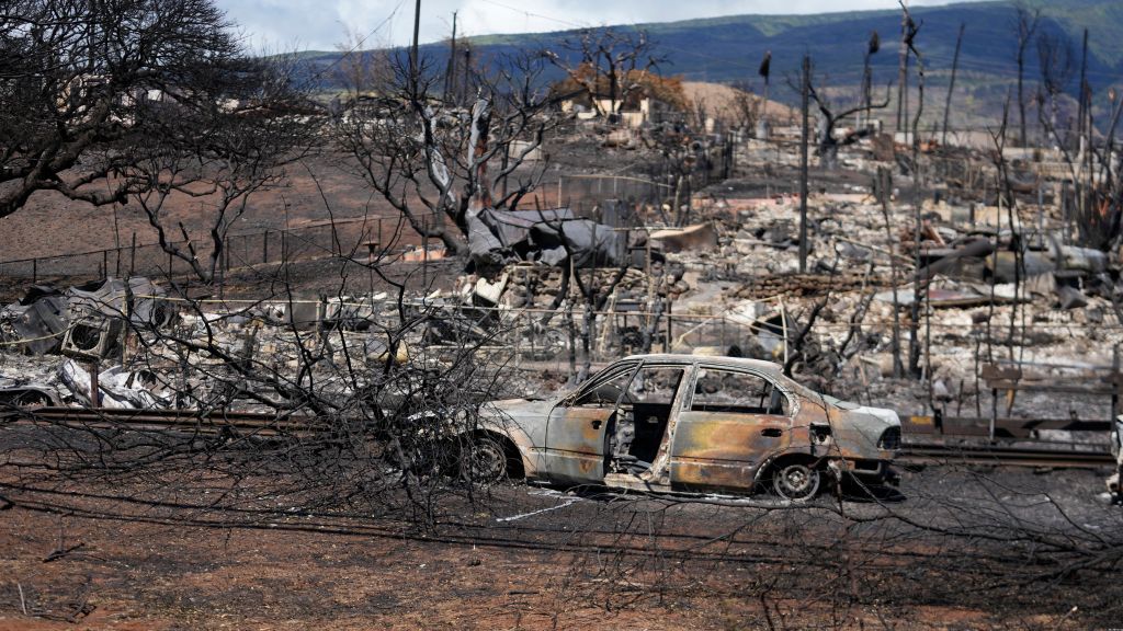 Hawaii Fires