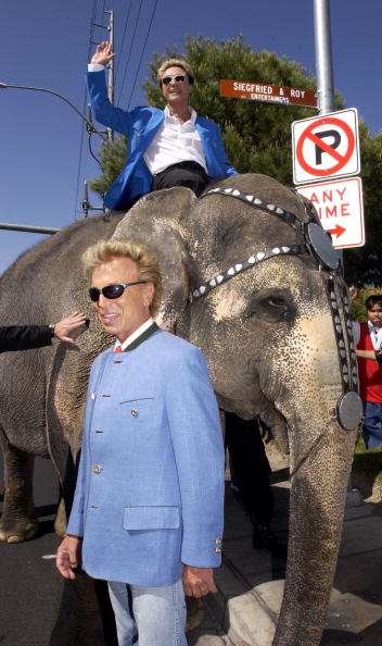 Siegfried & Roy through the years