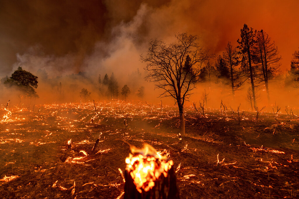 Beckwourth Complex Fire