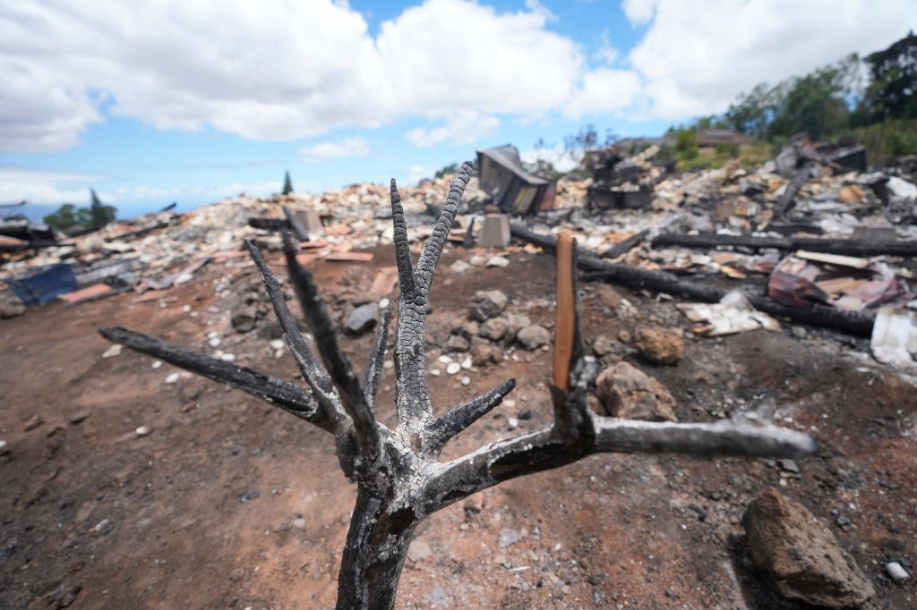 Hawaii Fires