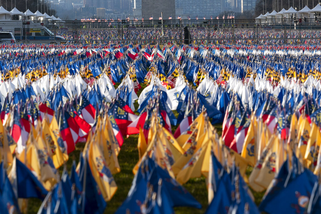 'Field of Flags'