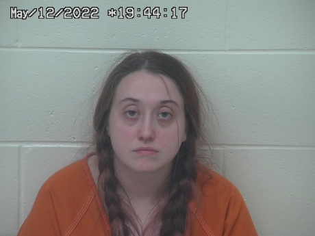 Woman charged after 20 dead dogs found in Ohio home