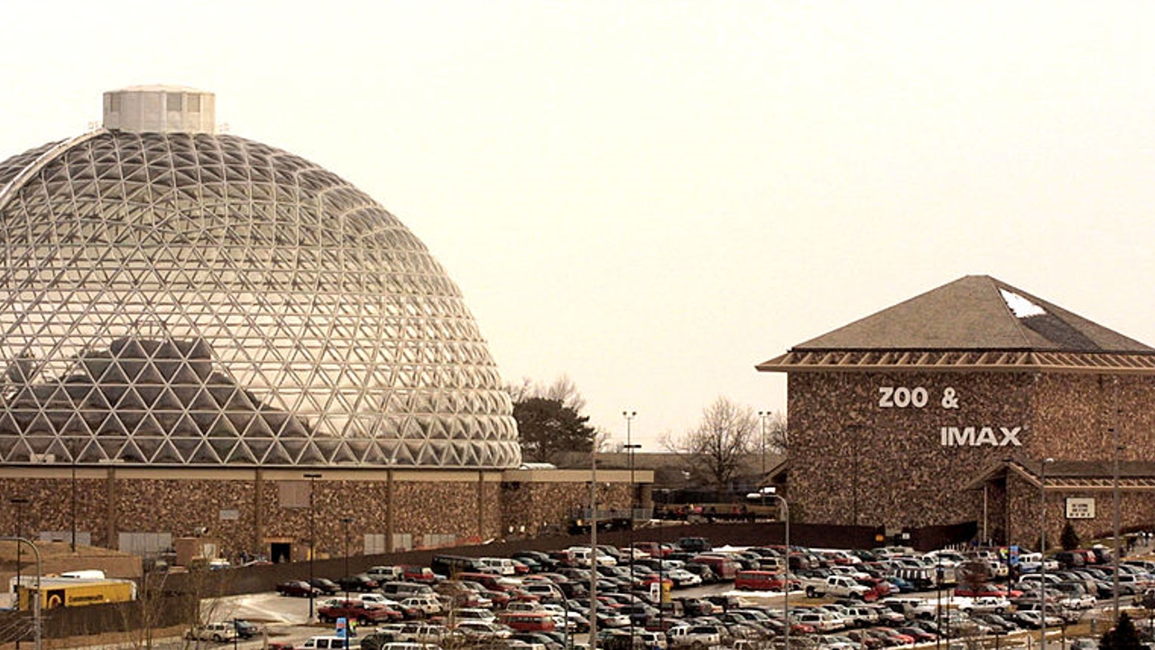 Cheetah takes stroll: