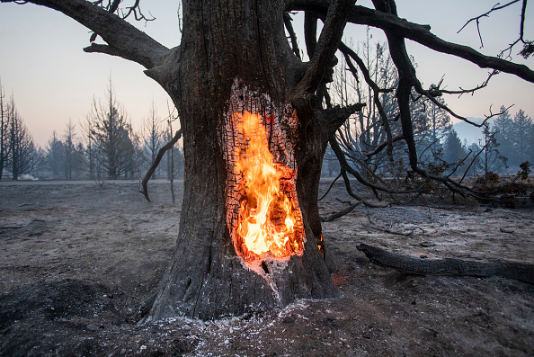 Mill Fire ravages Northern California city of Weed
