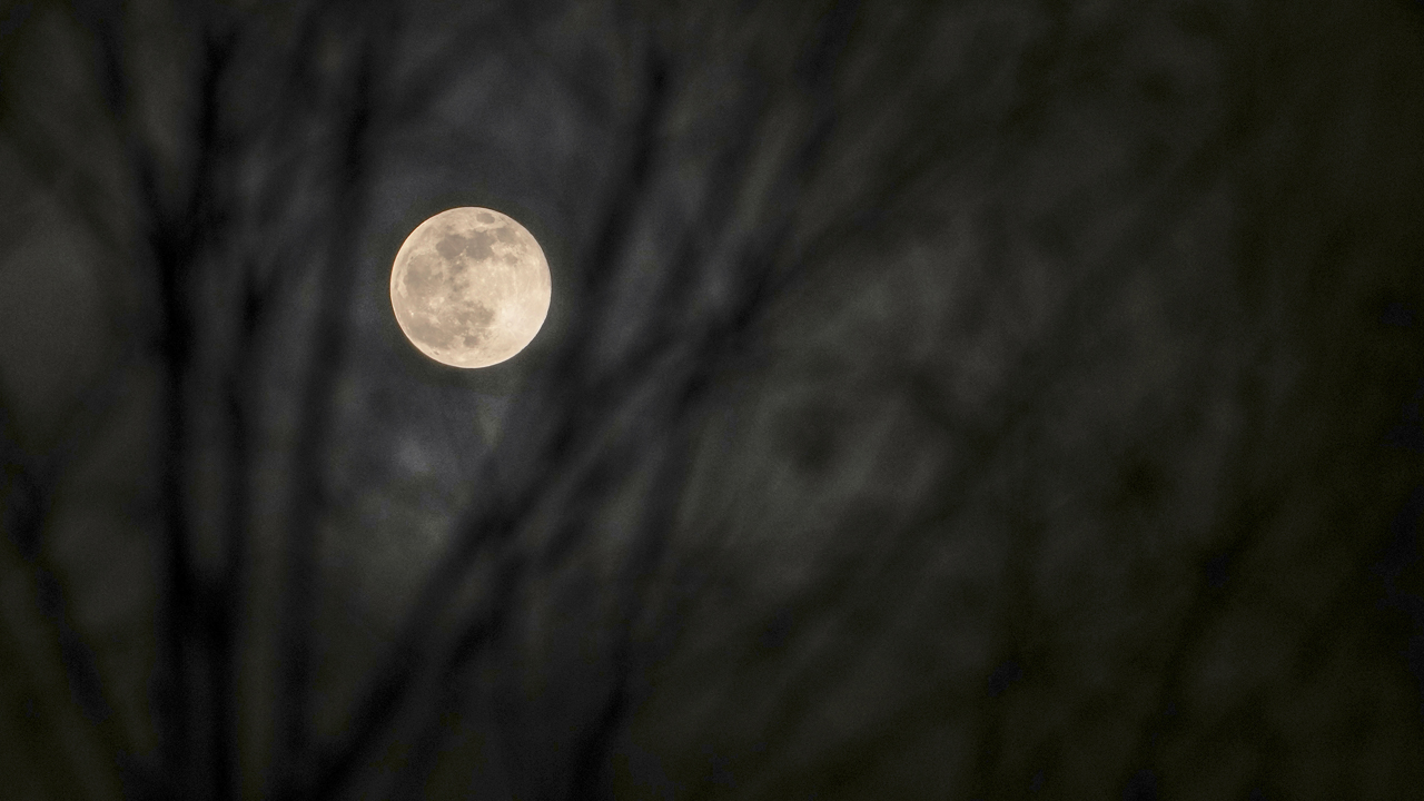 Photos: Cold Moon 2021 brightens the night sky