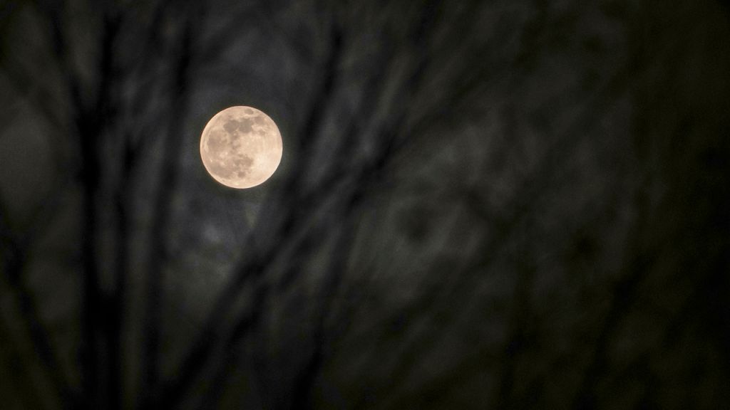Photos: Cold Moon 2021 brightens the night sky