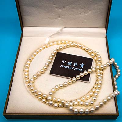 History for sale in NYC auction