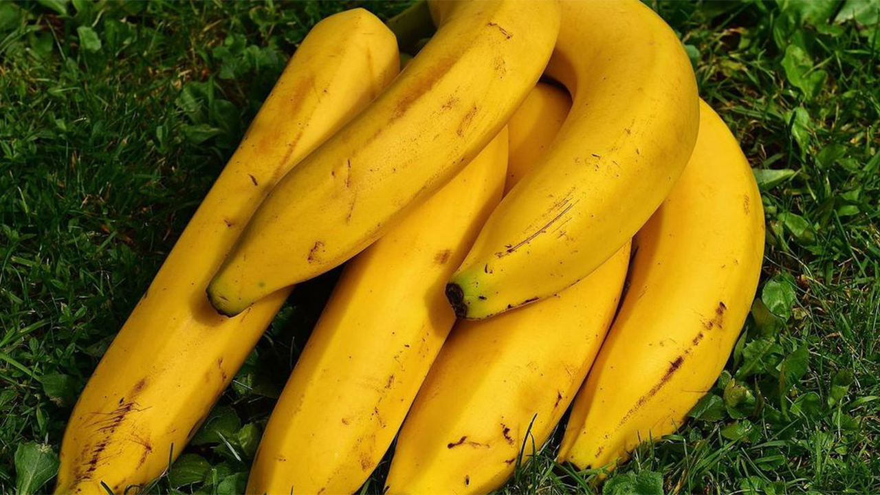 Umpire scolds French player at Australian Open for asking ballgirl to peel banana for him
