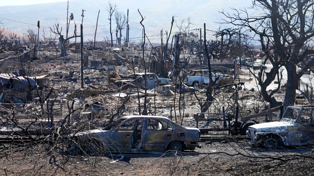 Hawaii Fires