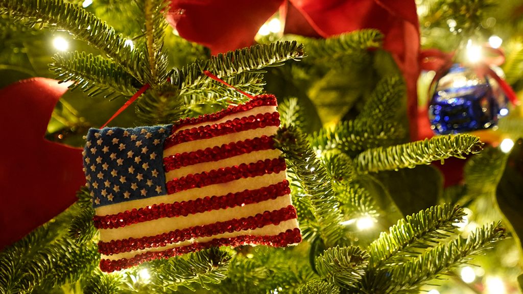 2020 White House Christmas decorations unveiled