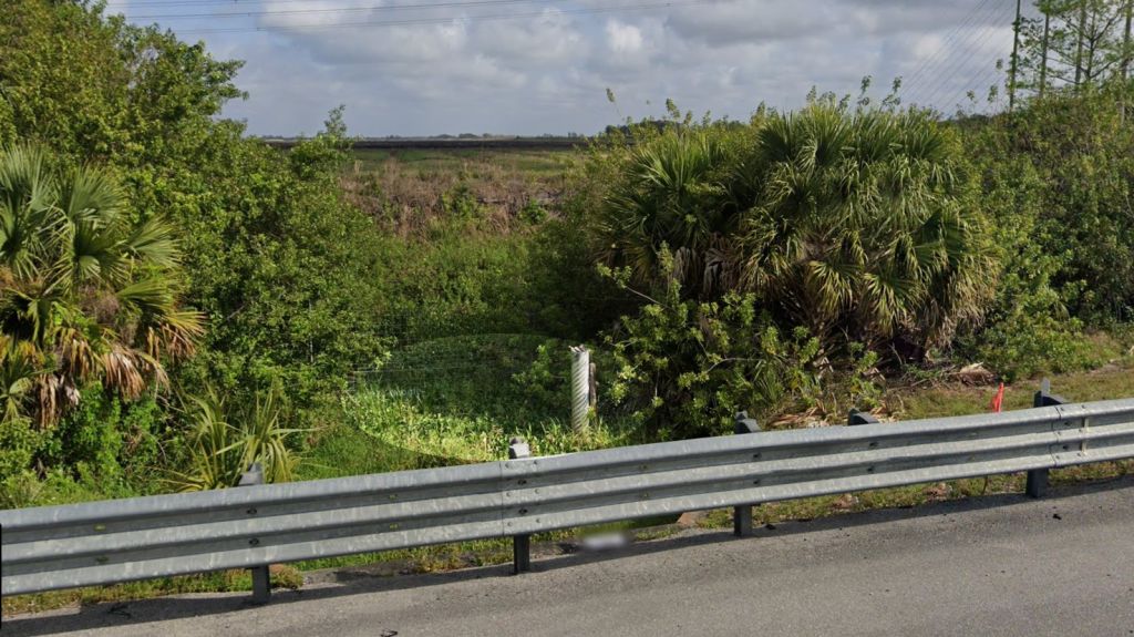 Adam Walsh murder:
