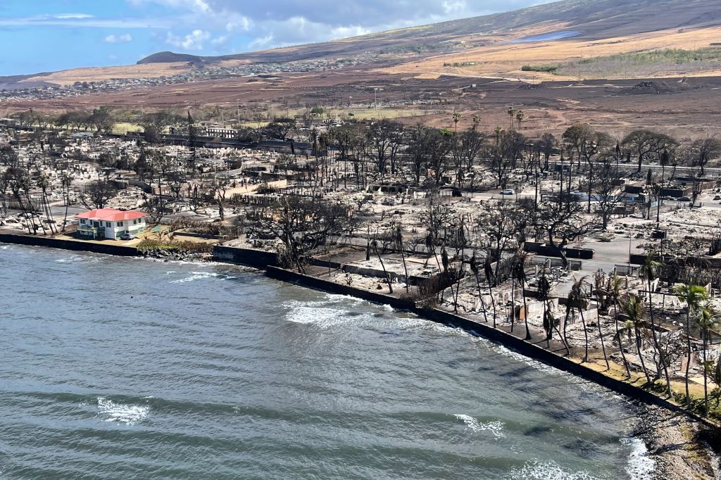 Hawaii Fires