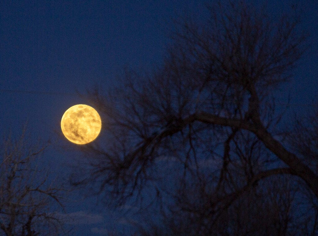 Once In A Blue Moon: Get Ready For A Halloween Full Moon