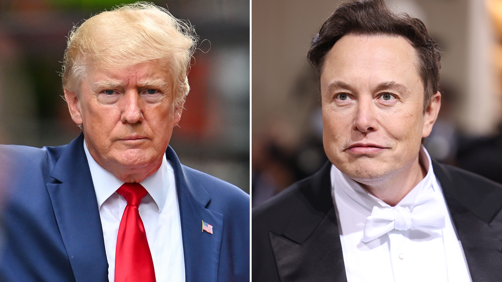 Donald Trump and Elon Musk