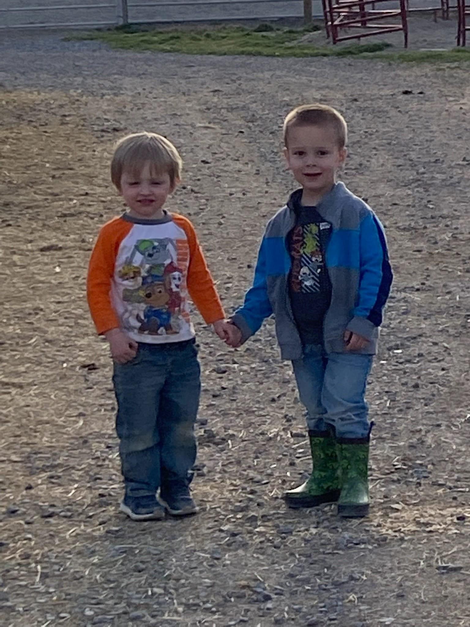 Two boys are dead after a man crashed into their play area