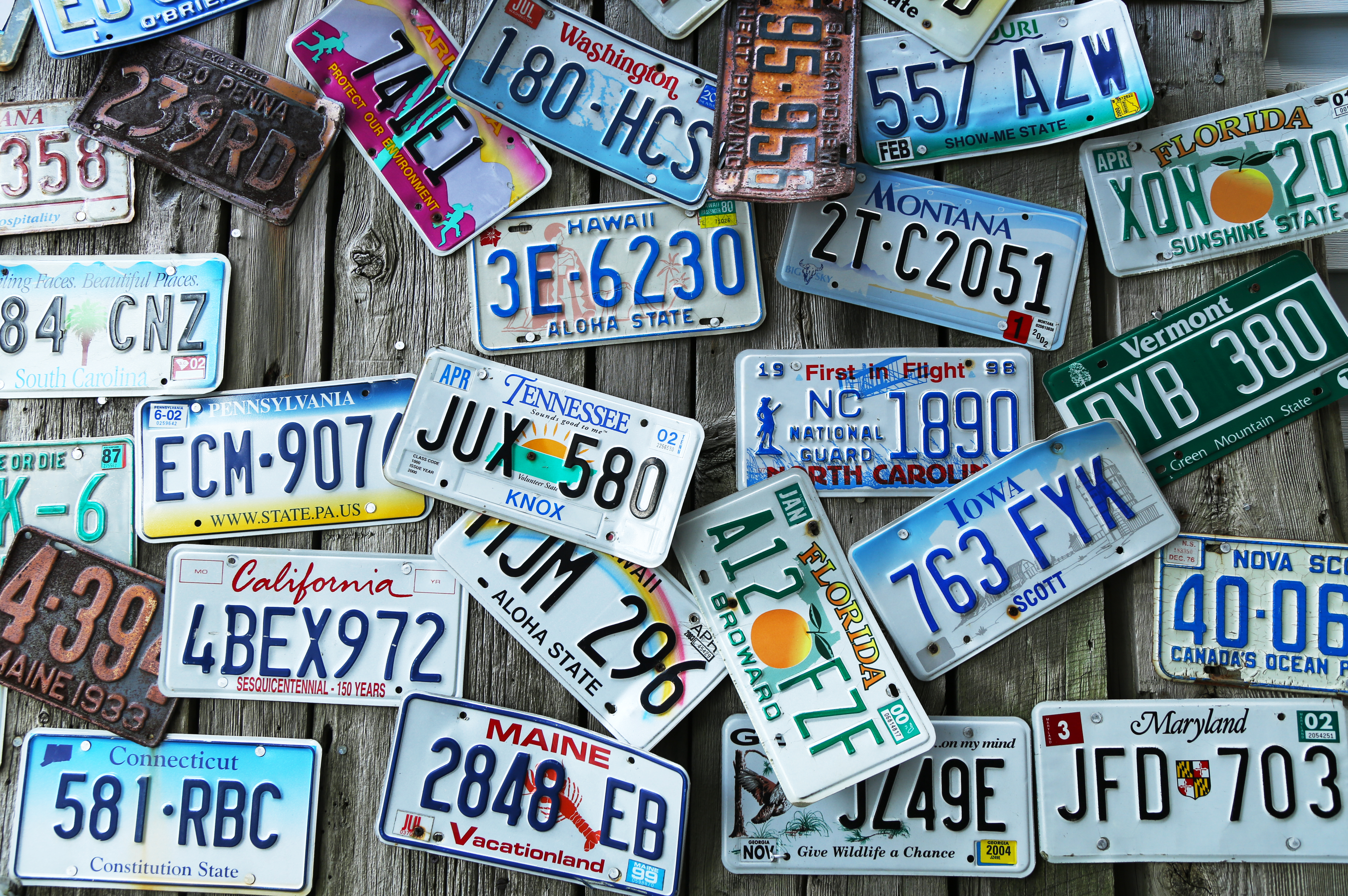 Maine vegan forced to give up license plate in statewide crackdown