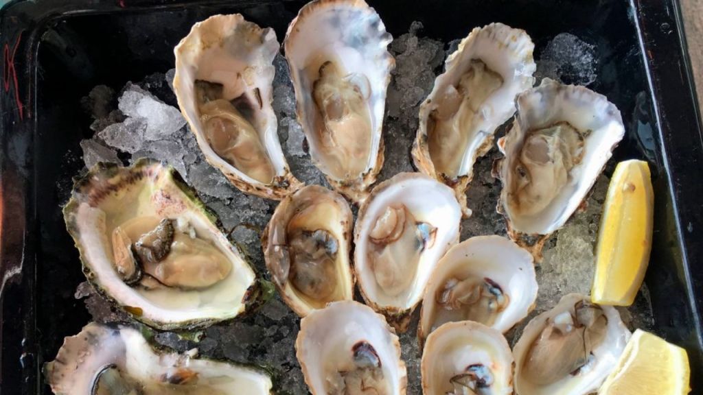 50,000 oysters dropped into Long Island harbor due to restaurant surplus1c8J9C E