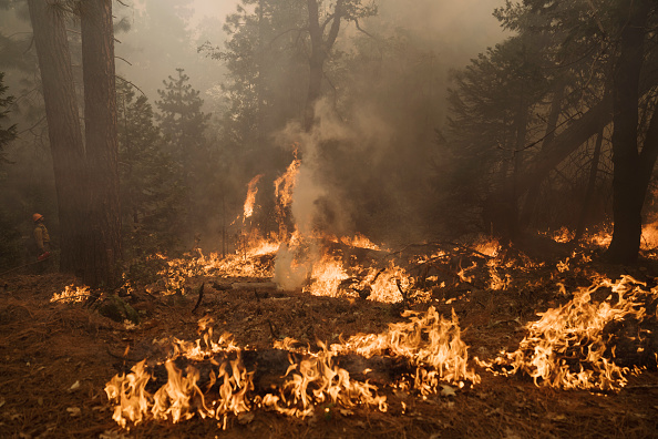 Photos: California's Mosquito Fire becomes state's largest blaze of 2022