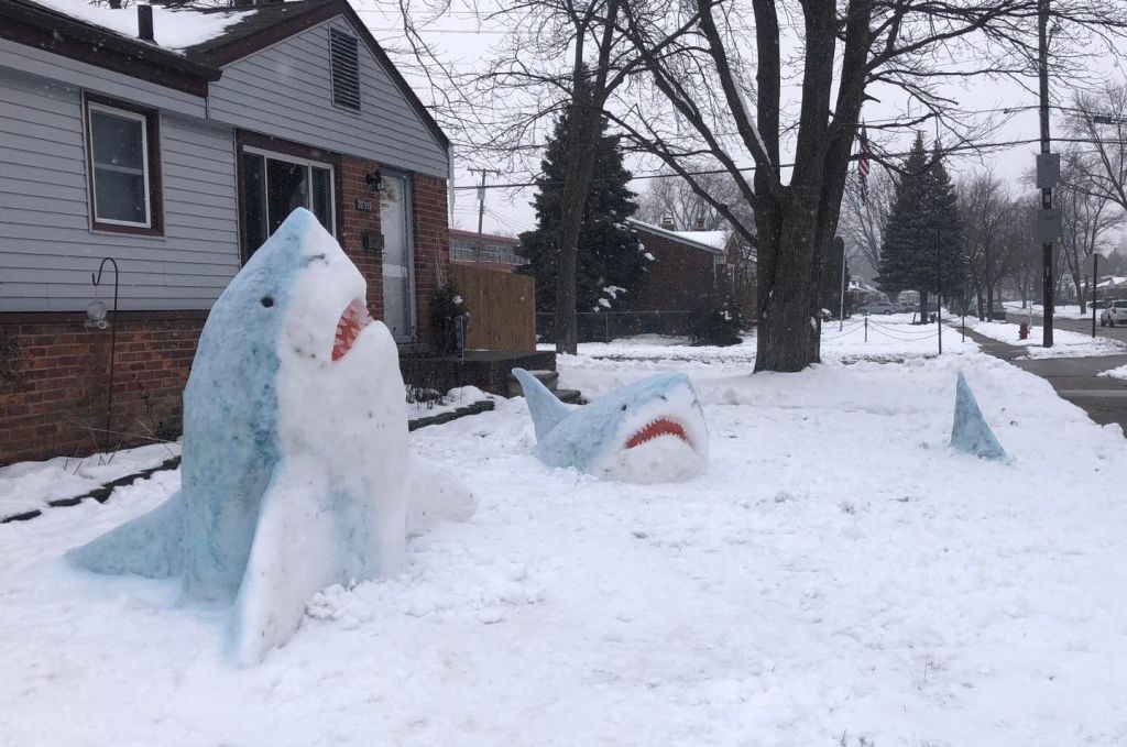 Art teacher creates sharks out of snow