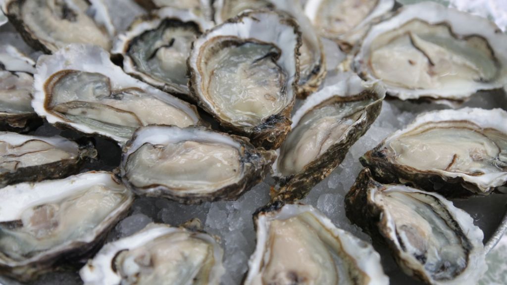 Raw oysters: