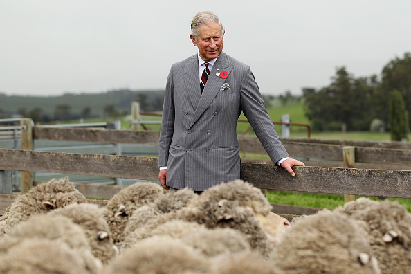 Photos: King Charles through the years