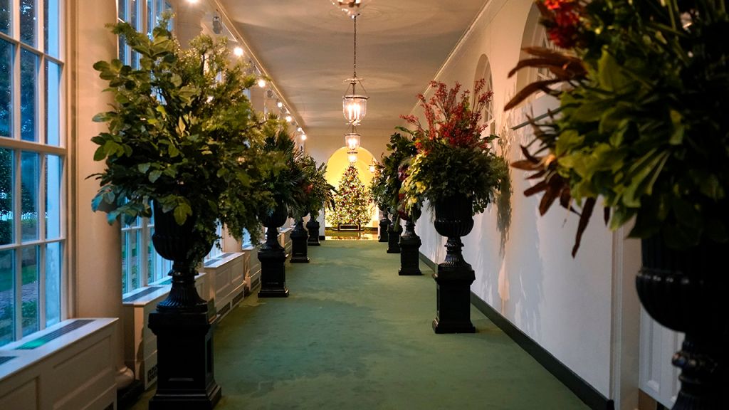 2020 White House Christmas decorations unveiled