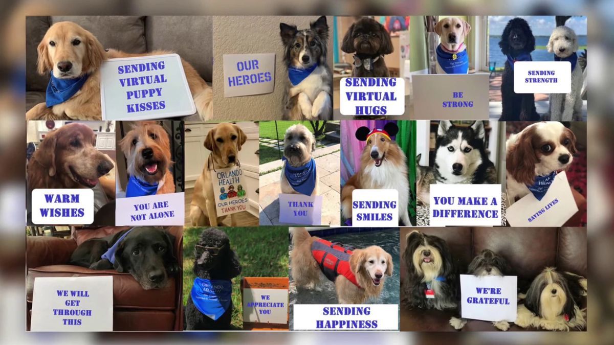 Virtual pet therapy visits, singing nurses: How hospitals are brightening spirits during coronavirus pandemic