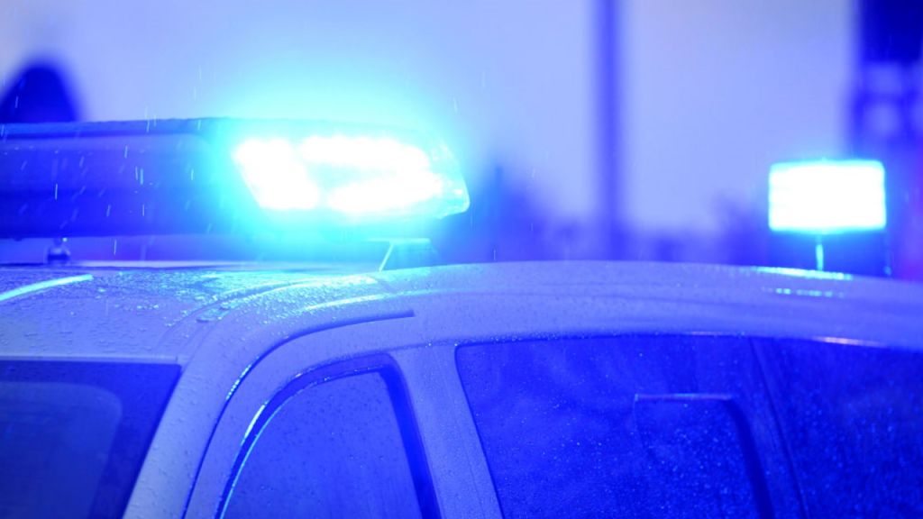 Minneapolis police fatally shoot man during traffic stop
