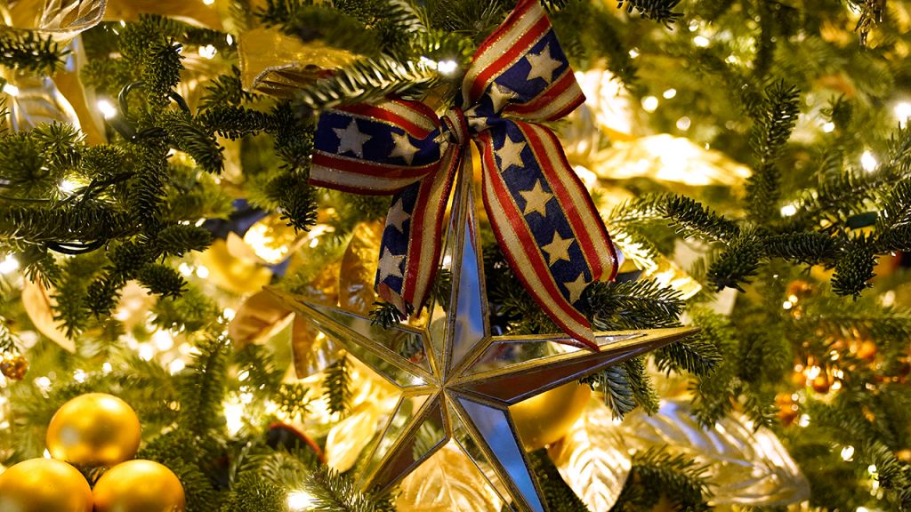 2020 White House Christmas decorations unveiled