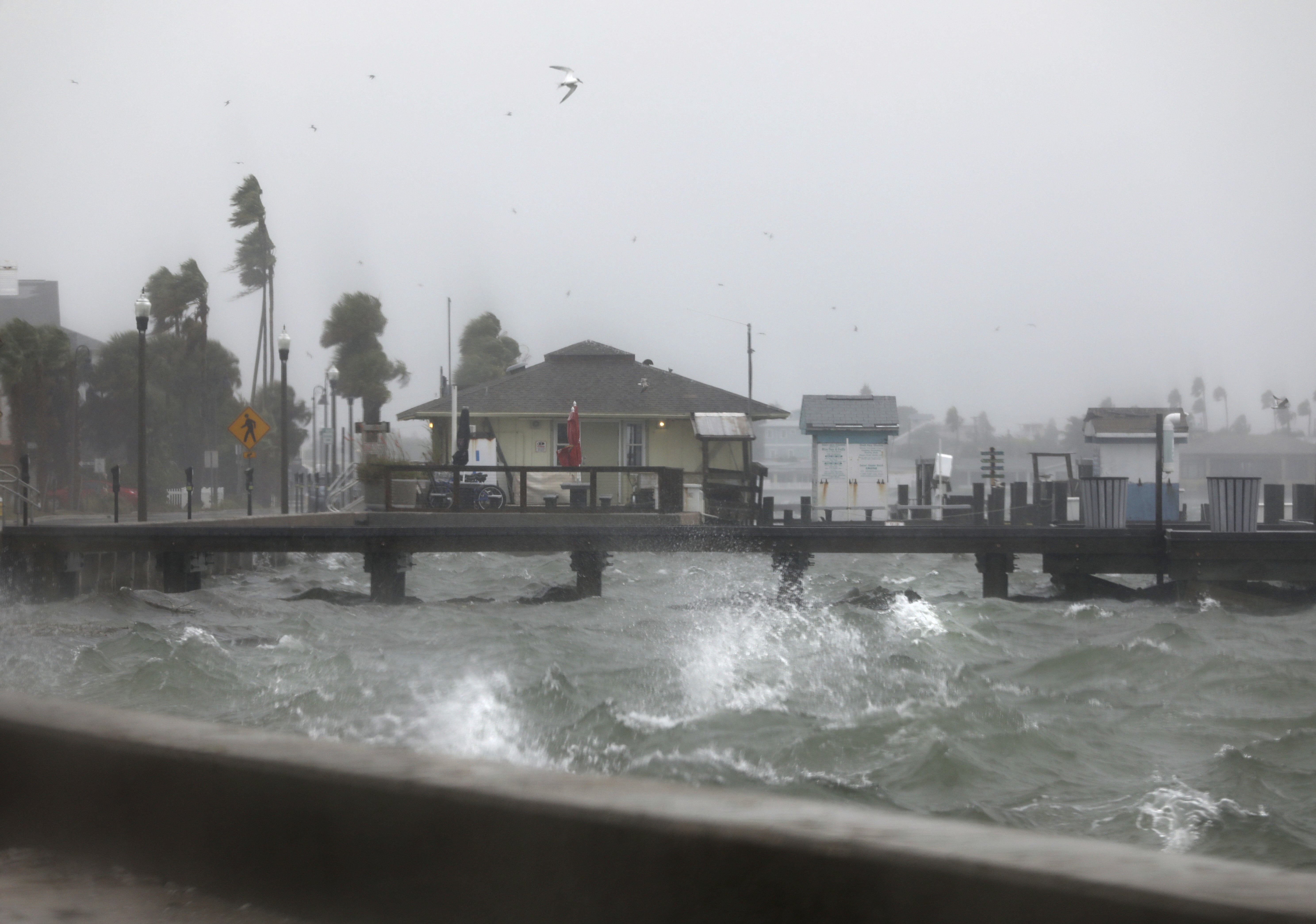 Tropical Storm Eta dumps blustery rain on west Florida, makes landfall near Cedar Key