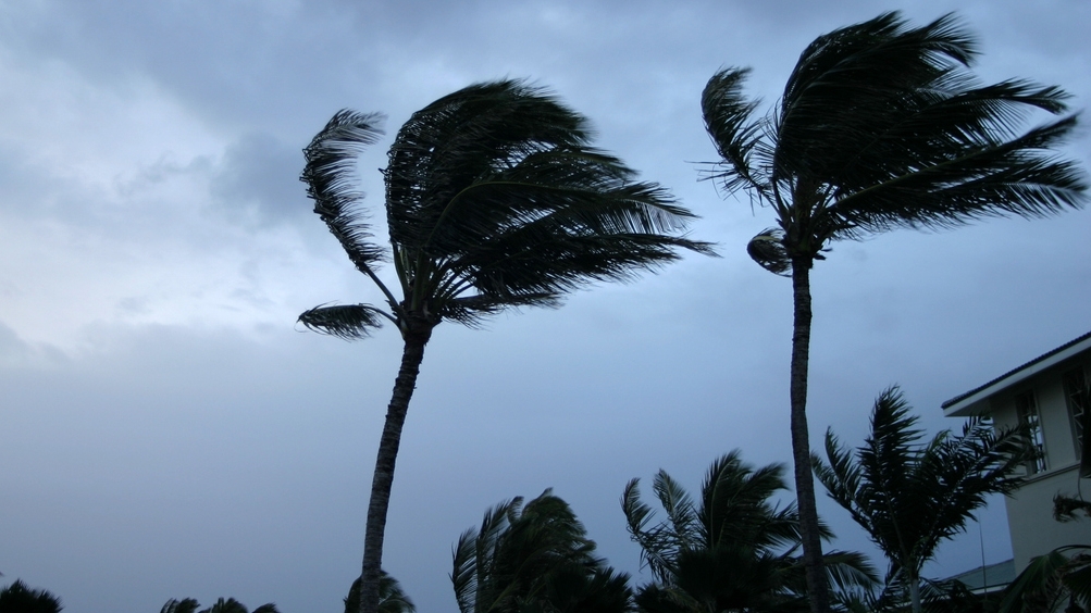 Tropical Storm Arlene:
