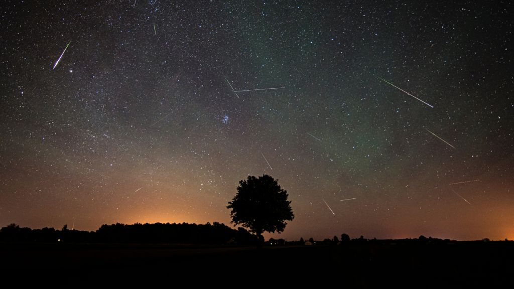 Southern Delta Aquariid, Alpha Capricornid meteor showers: 7 photos shared on social media