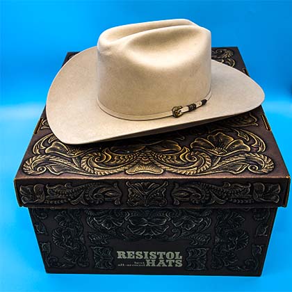 History for sale in NYC auction