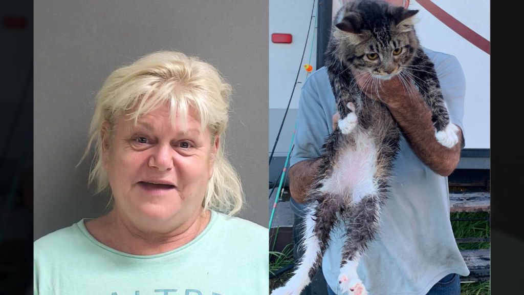 Woman accused of throwing cat in crate into river