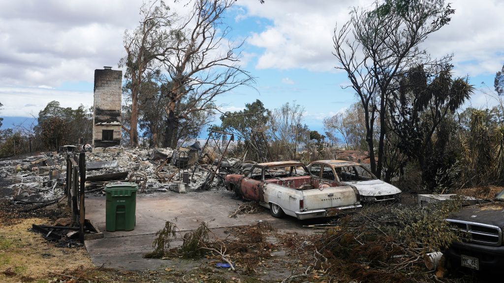 Hawaii Fires